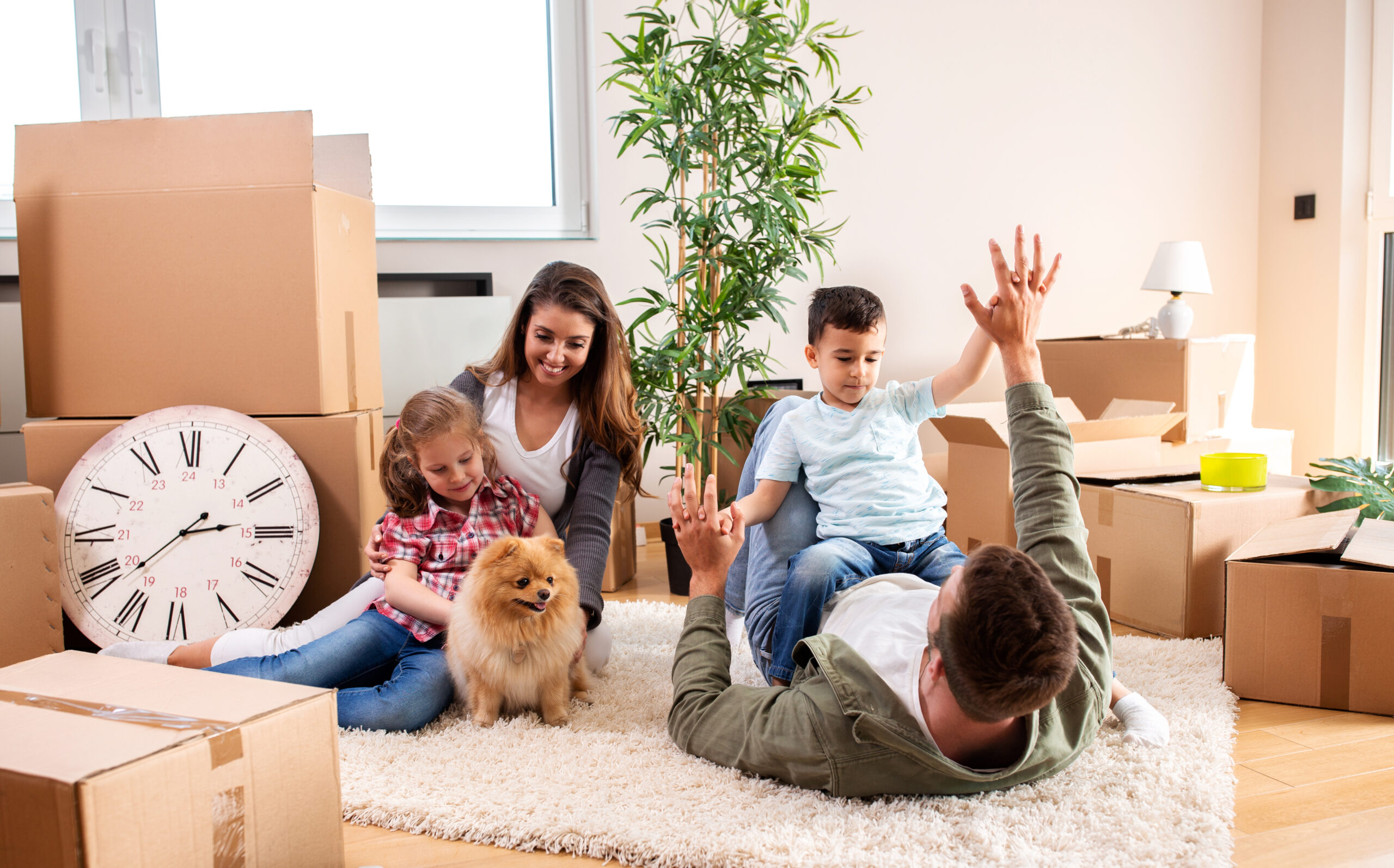 העברת דירה: איך לצלוח את היום החשוב עם ילדים וחיות מחמד